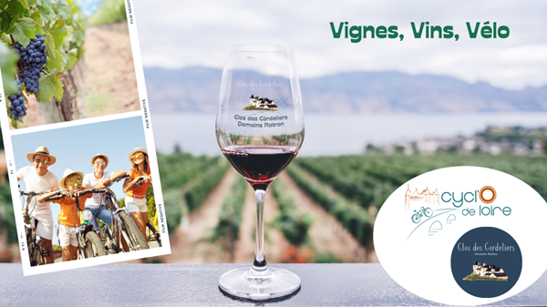 vignes vins vélo cylco de Loire au Clos des Cordeliers